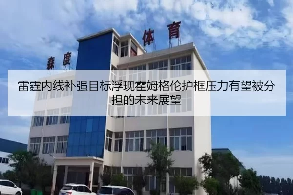 雷霆内线补强目标浮现霍姆格伦护框压力有望被分担的未来展望