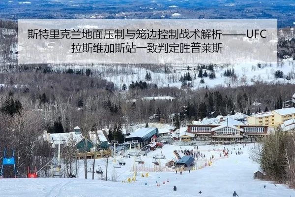 si-te-li-ke-lan-di-mian-ya-zhi-yu-long-bian-kong-zhi-zhan-shu-jie-xi-la-si-wei-jia-si-zhan-yi-zhi-pan-ding-sheng-pu-lai-2-455.jpg