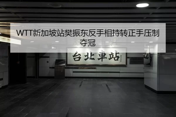 xin-jia-po-zhan-fan-zhen-dong-fan-shou-xiang-chi-zhuan-zheng-shou-ya-zhi-duo-guan-3-926.jpg